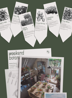 hortus.ttf / акцидентный шрифт