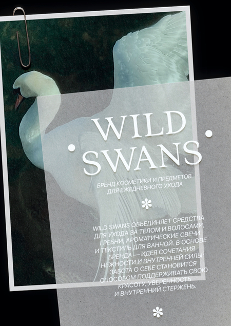 Wild Swans