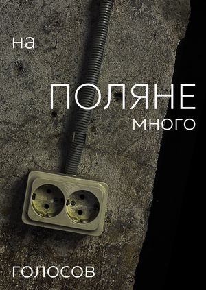 поляна (p1)