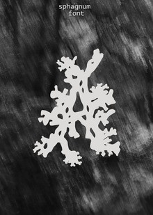 SPHAGNUM FONT SPHAGNUM FONT
