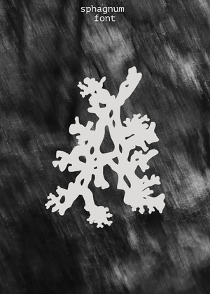 SPHAGNUM FONT