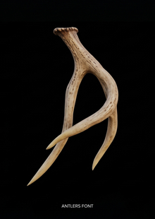 ANTLES