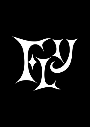 FLY font