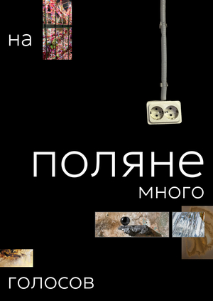 поляна (p1)
