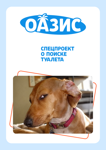 Оазис