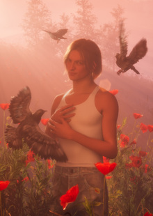 Feathers