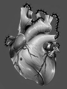 CUTEGORE