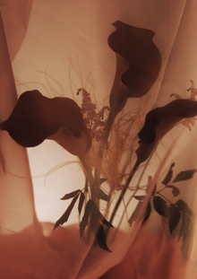 VEILED
