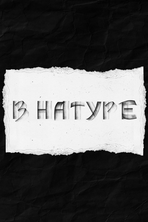 «В натуре»