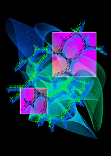 CC-CODE