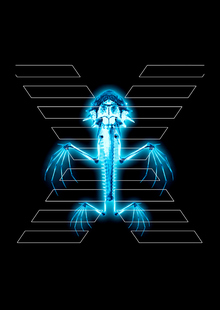 XRAI