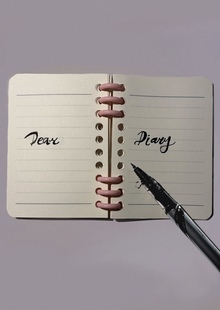 DEAR DIARY