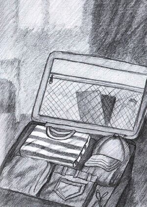 Север CAMP