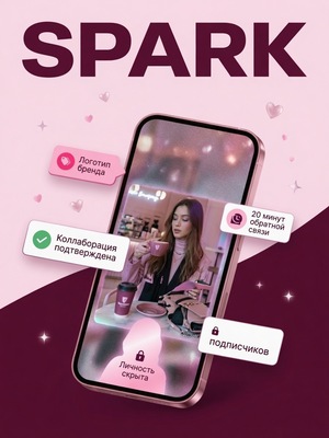 SPARK — Sponsorship Partnership & Audience Reach Kit