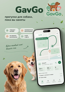 GavGo