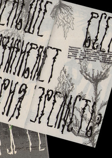 chertopolokh | font