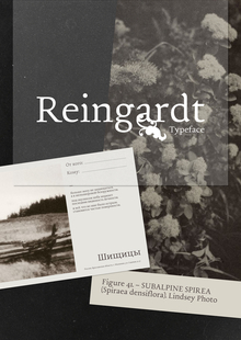 Reingardt Typeface