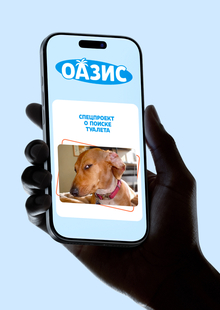 Оазис | Спецпроект Оазис | Спецпроект