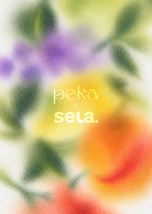 Практика в&nbsp;Sela