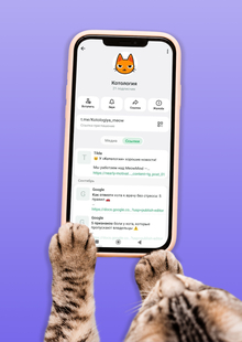 MEOW MIND&nbsp;— коммуникационный бриф проекта «Котология»