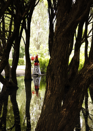 Каранавал: Хождение за