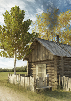 Деревенский дворик