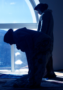 Заключение