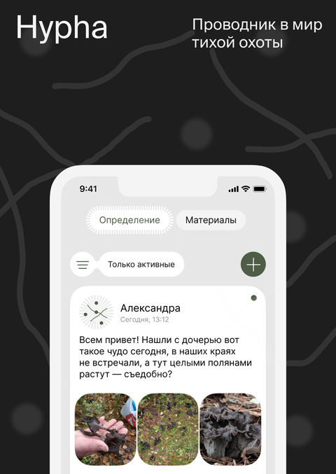 Hypha — приложение для грибников
