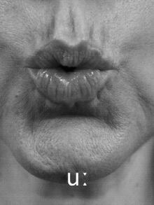 Заключение