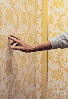 Животный дом и человеческое взаимодействие с ним