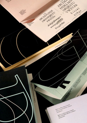 Серия лифлетов / исследование R