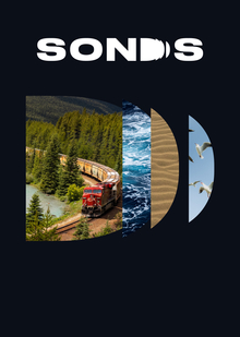 SONDS — генератор уникальных звуковых фонов