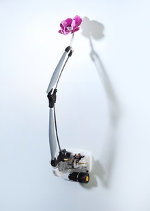 Введение. История искусственного