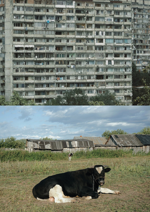 Вдали от городов: антропология русской деревни