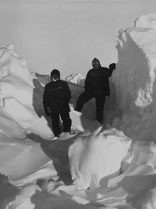 Заключение