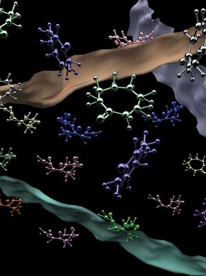 Chemical эко бокс-Better Future