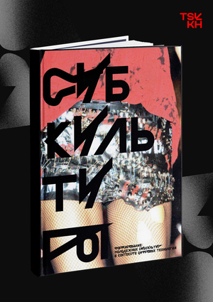 Формирование молодежных субкультур в контексте цифровых технологий