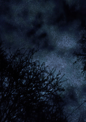 Blaxion — Northern Autumn LP