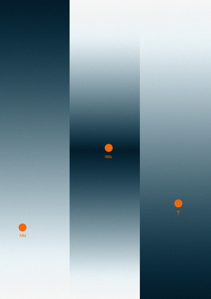 ILLUSION
