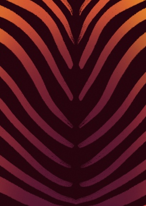 Не то, чем кажется