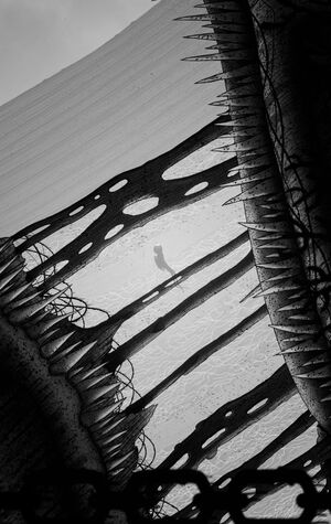 SILT: sound re-design