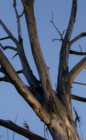 Течение. После смерти