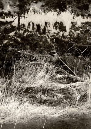 Течение. До рождения