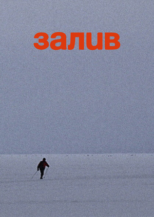 Музыкальный клип для телеканала «Залив»