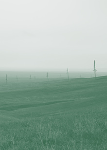 Выставка «Где корни»