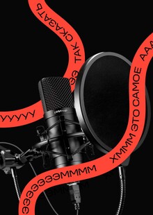 Ритор. Микрофон со&nbsp;встроенным ИИ&nbsp;для коррекции речи.
