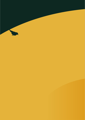 ECHO IN THE WOODS(2)