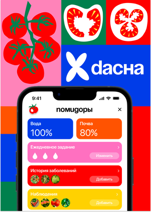 DACHA