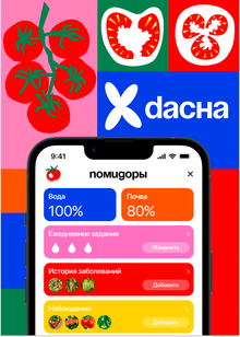 DACHA DACHA