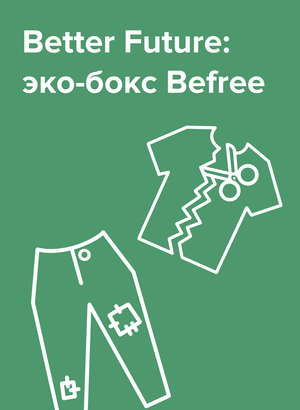 Дизайн эко-бокса Befree